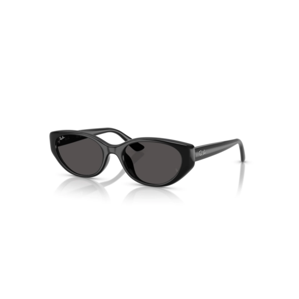 NEGRO GRIS-LISO RAY BAN 4457D BIO-BASED®