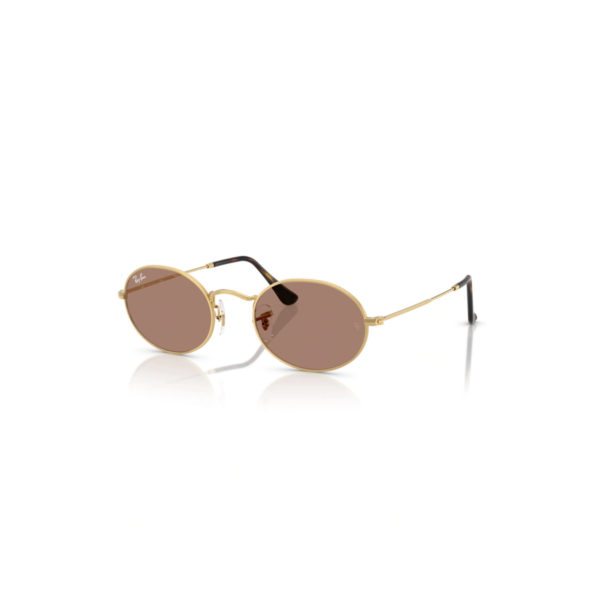 RAY BAN 3547N OVAL EVOLVE - DORADO ROSA FOTOCROMADO RAY BAN 3547N OVAL EVOLVE®