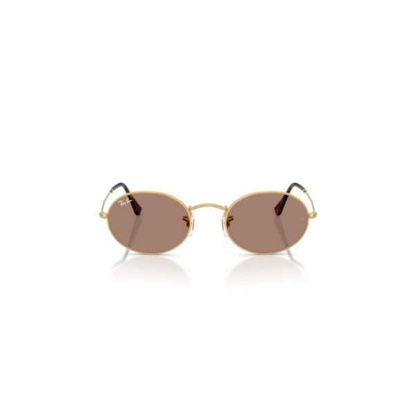 RAY BAN 3547N OVAL EVOLVE DORADO ROSA FOTOCROMADO RAY BAN 3547N OVAL EVOLVE®