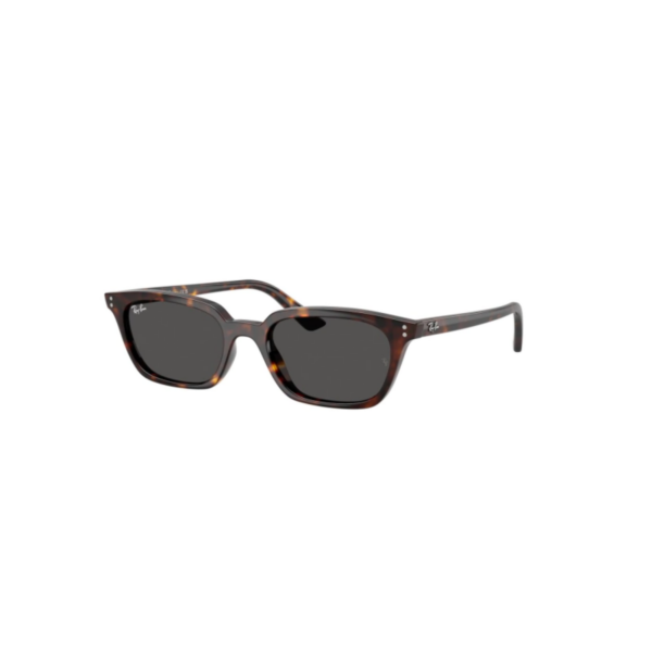 RAY-BAN 4456 ZAYA-CAREY RAY BAN 4456 ZAYA®