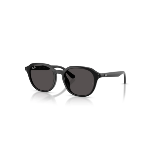 RAY-BAN 4459-NEGRO RAY BAN 4459®