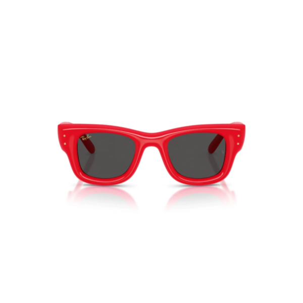 RAY BAN 4940 ASAP ROCKY WAYFARER ROJO RAY BAN 4940 ASAP ROCKY WAYFARER®
