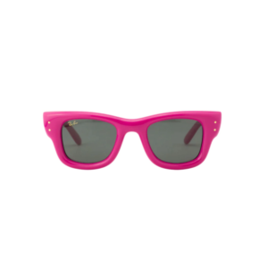 RAY BAN 4940 ASAP ROCKY WAYFARER®