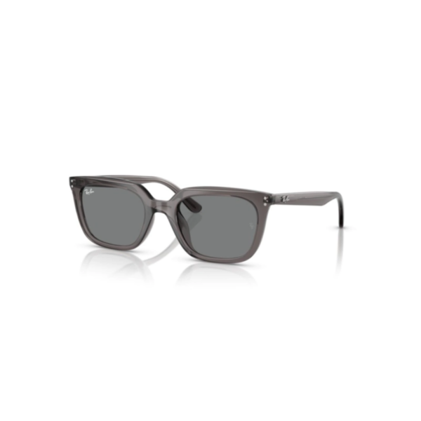 RAY BAN HIGHSTREET GRIS - TRANSPARENTE GRIS LISO RAY BAN 4439D HIGHSTREET®