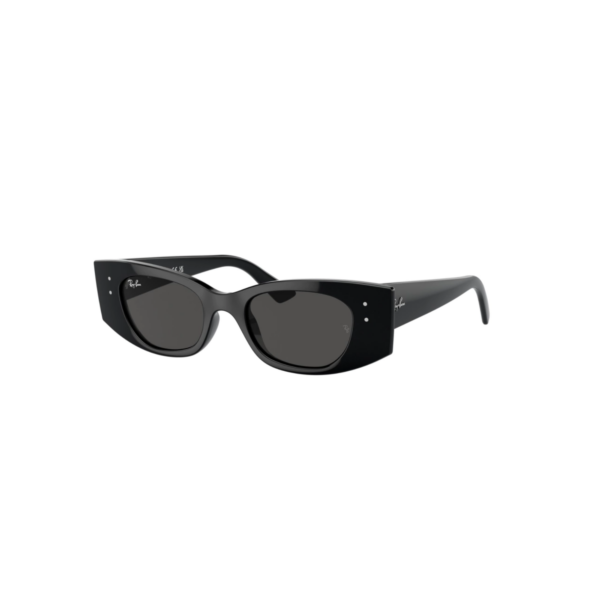 RAY BAN 4427 KAT®