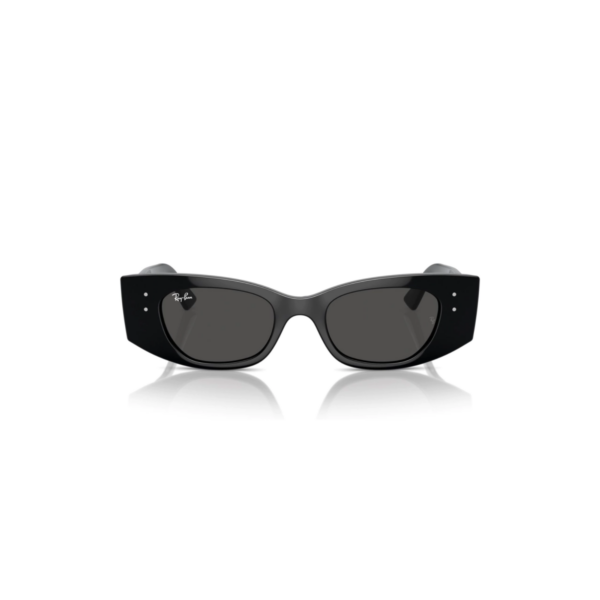 RAY BAN 4427 KAT®