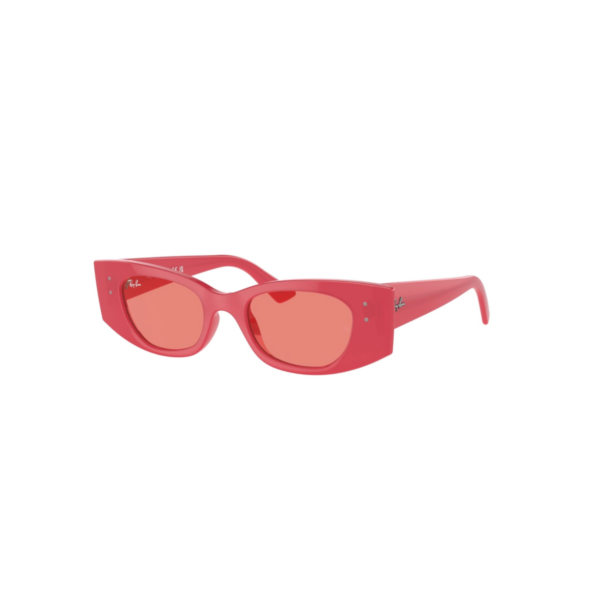 RAY BAN 4427 KAT®
