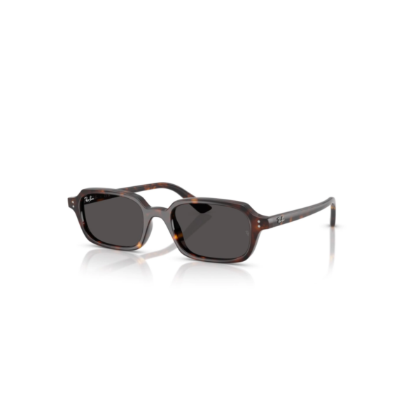 RB 4455 ZURI BIO-BASSED-CAREY RB 4455 ZURI BIO-BASSED-CAREY