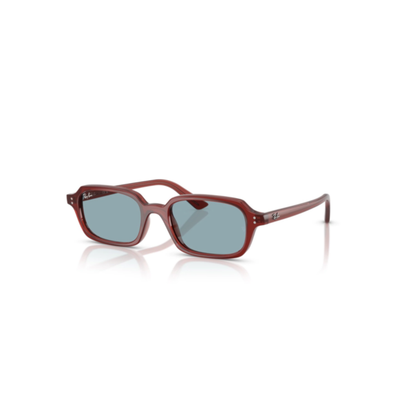 RB 4455 ZURI BIO-BASSED MARRON-TRANSPARENTE RB 4455 ZURI BIO-BASSED MARRON-TRANSPARENTE