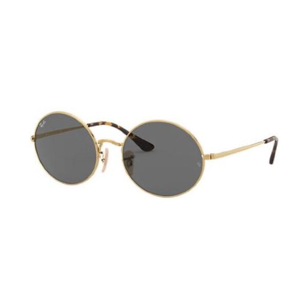 RAY BAN 1970 OVAL®
