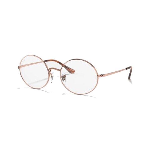 RAY-BAN-1970V-2943-STANDARD-51-19