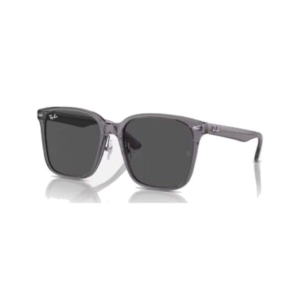 RAY-BAN-2206-1399-87-STANDARD-57-18 RAY-BAN-2206-1399-87-STANDARD-57-18
