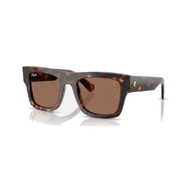 RAY-BAN-2217M-F61373-STANDARD-53-21 RAY-BAN-2217M-F61373-STANDARD-53-21