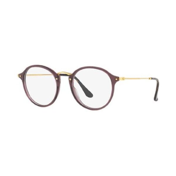 RAY BAN 2447V ROUND FLECK®