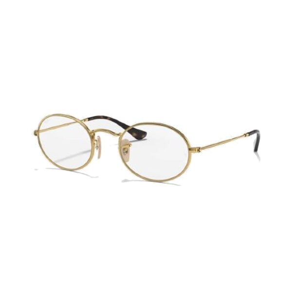 RAY-BAN-3547V-2500-STANDARD-48-21