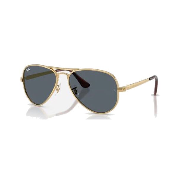 RAY-BAN-3925-001-R5-STANDARD-58-16