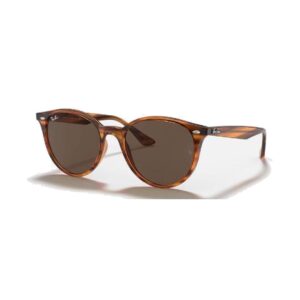 RAY-BAN-4305-710-73-STANDARD-53-19 RAY-BAN-4305-710-73-STANDARD-53-19
