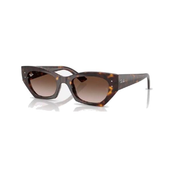 RAY-BAN-4430-1359-13-STANDARD-52-22