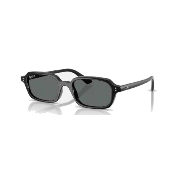 RAY-BAN-4455-6677-81-STANDARD-52-19 RAY-BAN-4455-6677-81-STANDARD-52-19