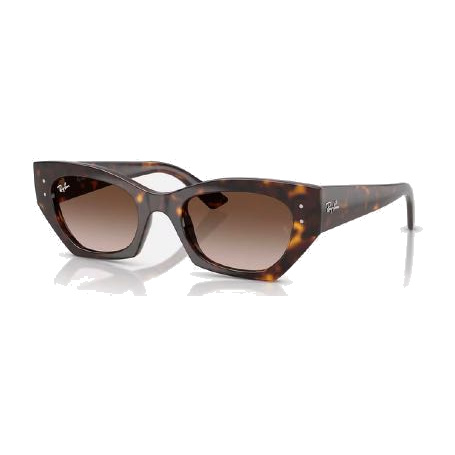 Anteojos Ray-Ban Bio-Based